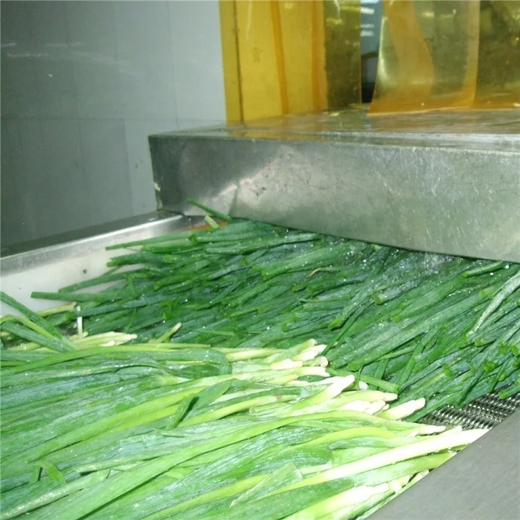 
Frozen Scallion Green Onion 