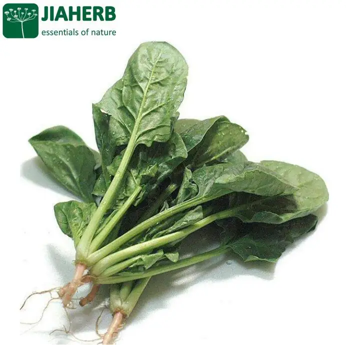 JIAHERB 18 Years 6 Factories Offer 100% Pure Natural Plant Extract	Spinach Extract 10:1	Spinacia oleracea vegetable powder