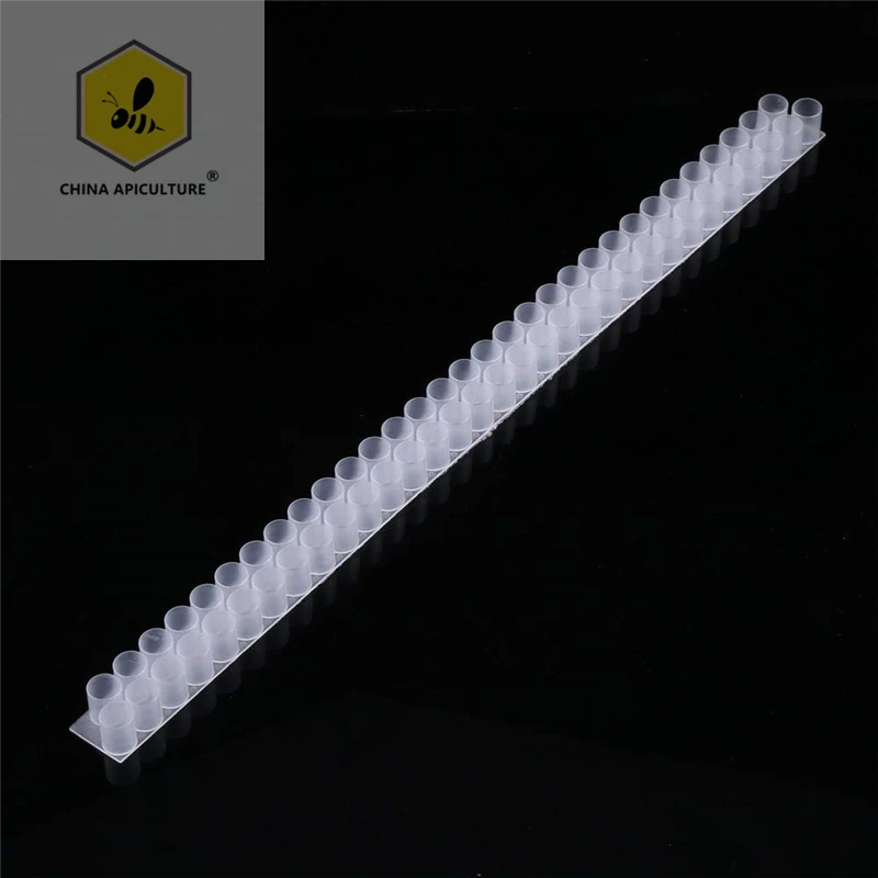 Beekeeping Tools Plastic Queen Bee Double Cell Bar Strip Set Base 33/66 Holes