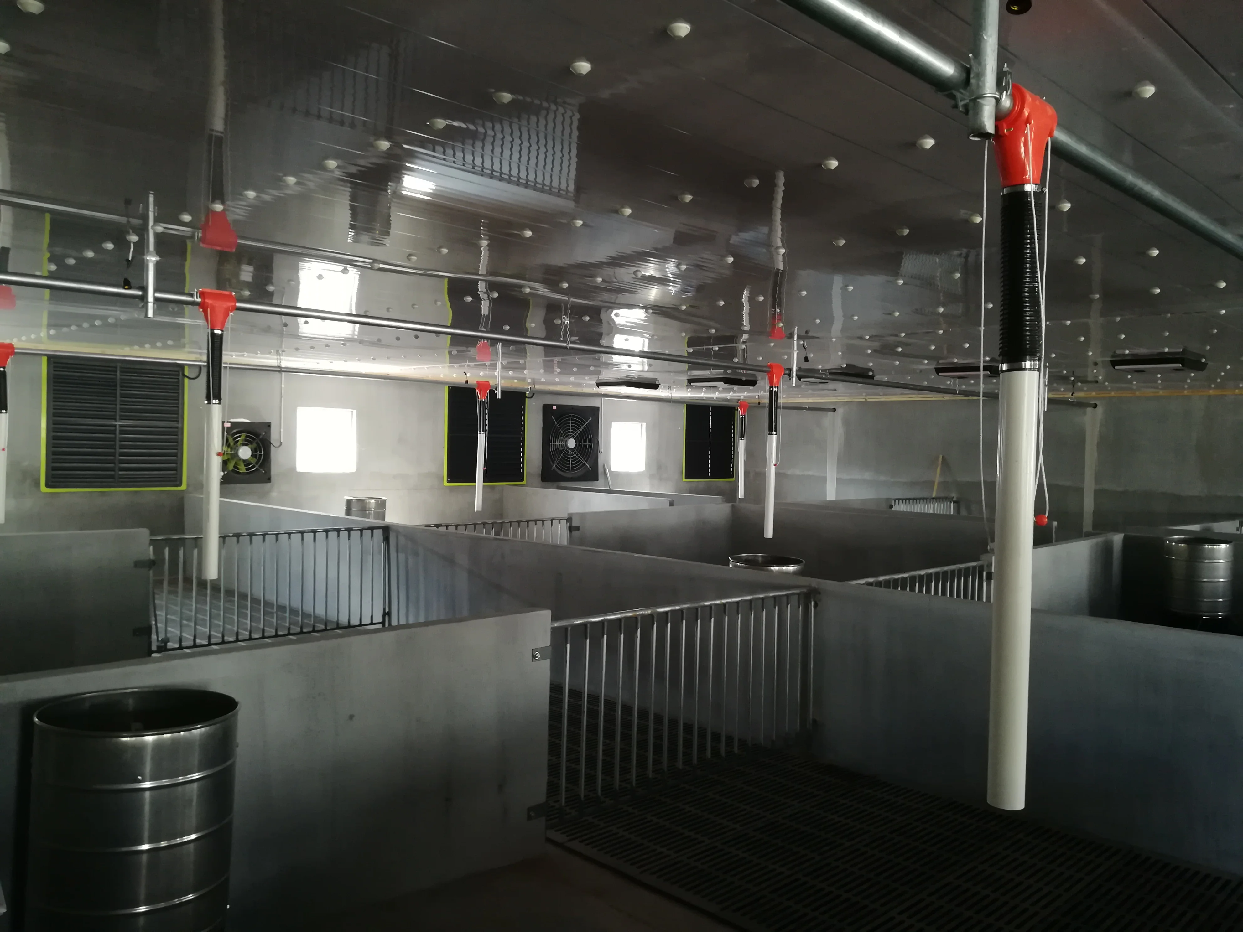 Goldenest pig chain feeding line/Pig rearing equipment