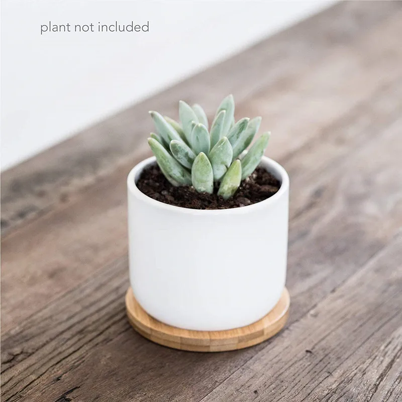 Set of 3 Ceramic Pots for Plants 4 inch Catcus Flower Planter Drainage Hole White Ceramic Succulent Pots with Bamboo Tray Decor
