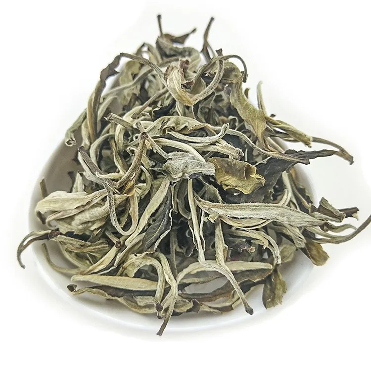Wholesale Chinese famous high quality Fujian white tea high mountain snow buds