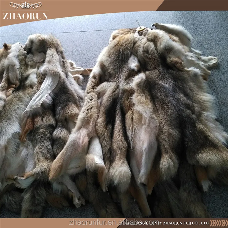 Coyote Fur Wholesale Customized Real Coyote Fur Trim Strips for Collar Parka Hood Trimming