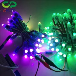 led advertising Round Ucs1903 Ws2811 Led String Light 12mm silicon glue filled 5v led string lights