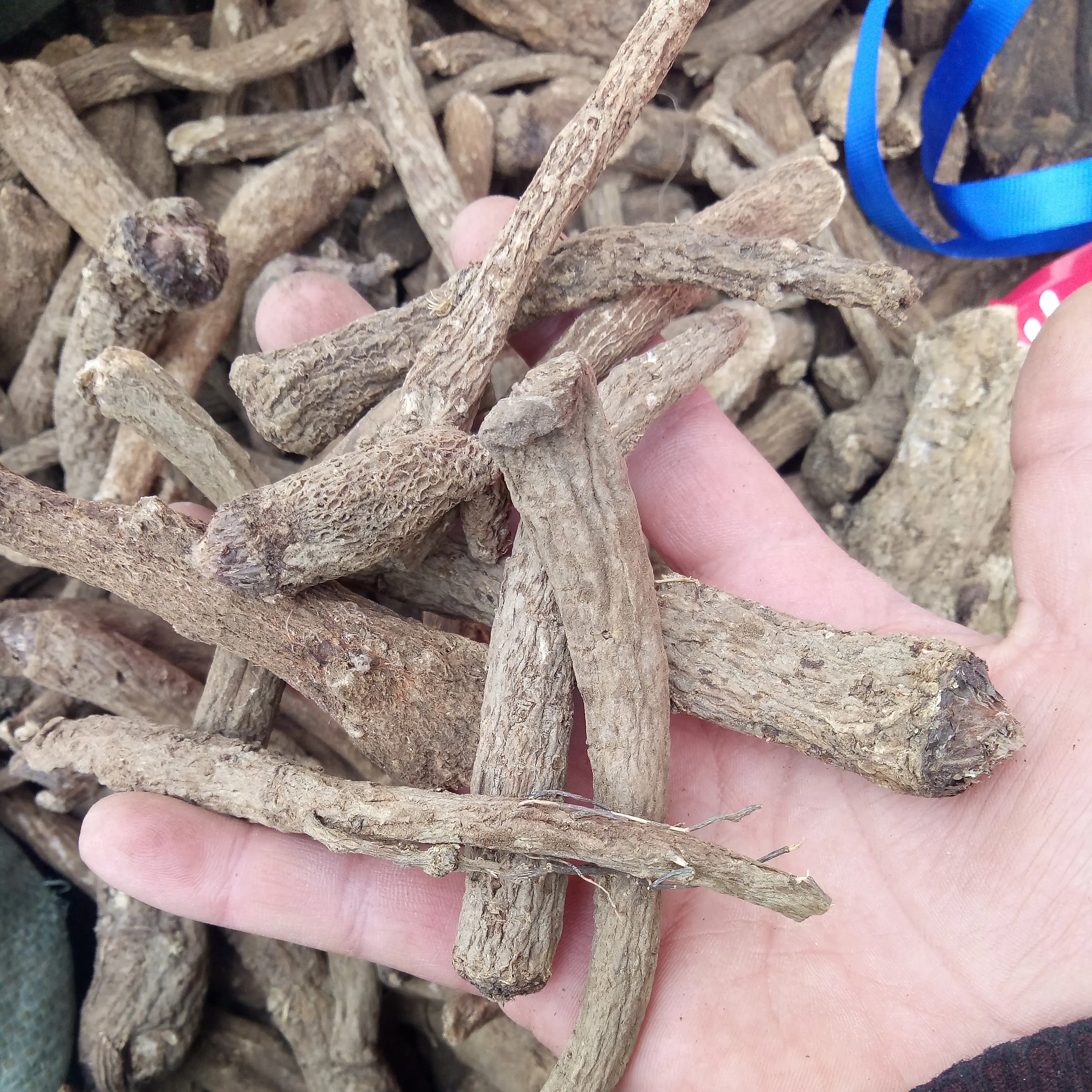 
Natural dried big size low pesticide Costus Roots for sale 