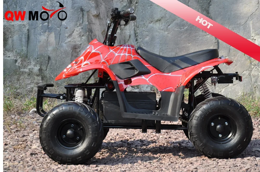 Brushless Motor 500W 48V Electric Mini ATV for Kids