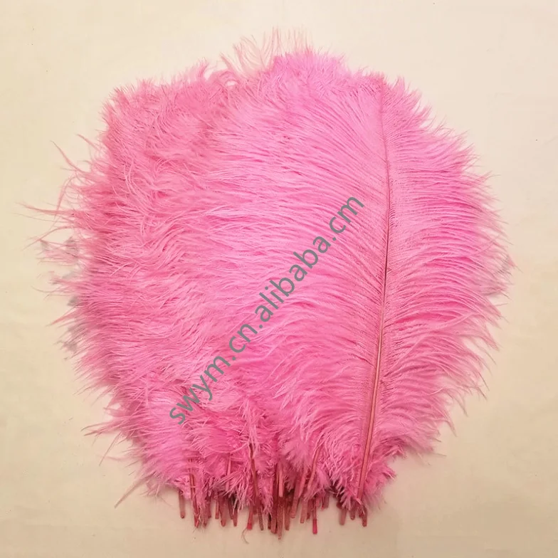 Wholesale Factory Price 24-26in/60-65cm Baby Pink Ostrich Plume Dyed Pattern Feathers for Carnival Costumes