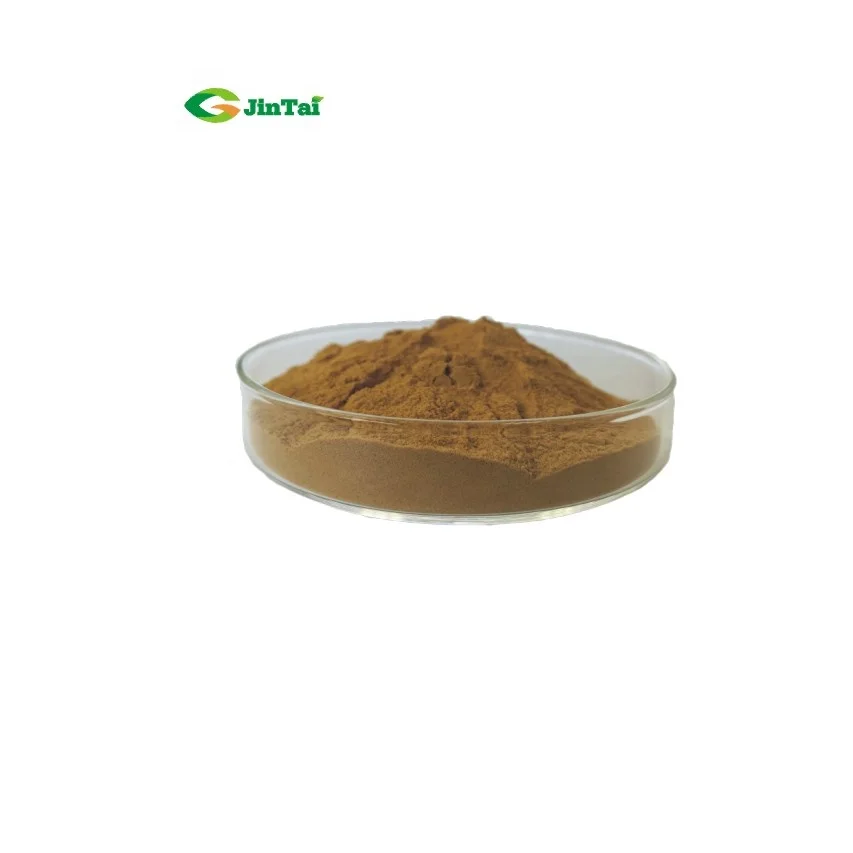 High quality Honey Mushroom Extract Powder From Manufacture
