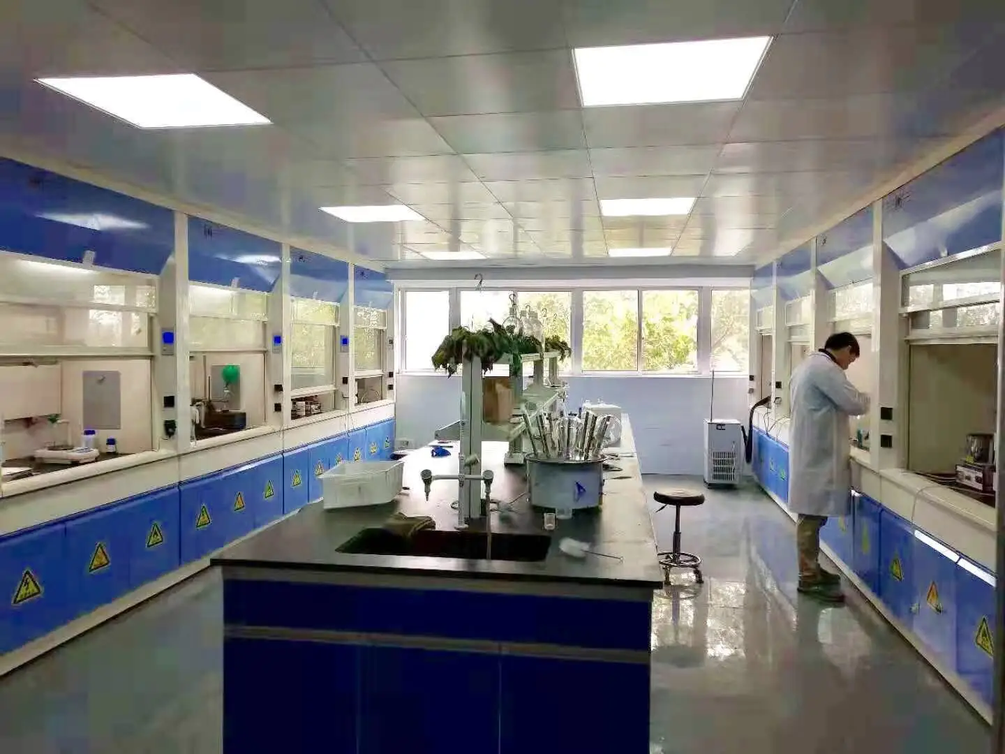 
High quality supplier Coluracetam // Pramiracetam // Oxiracetam // Piracetam // NSI-189//Amfonelic acid/ galantamine 