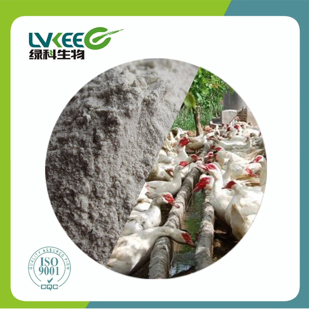 
Health Probiotics 20 billion cfu/g Bacillus Licheniformis for fish & shrimp 