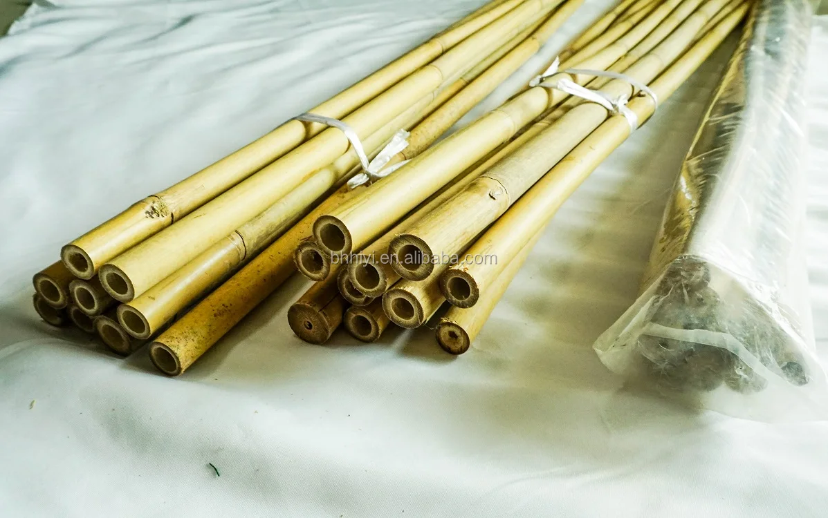 Garden Dried Bamboo Cane Bamboo Stick Bamboo Pole for Planting