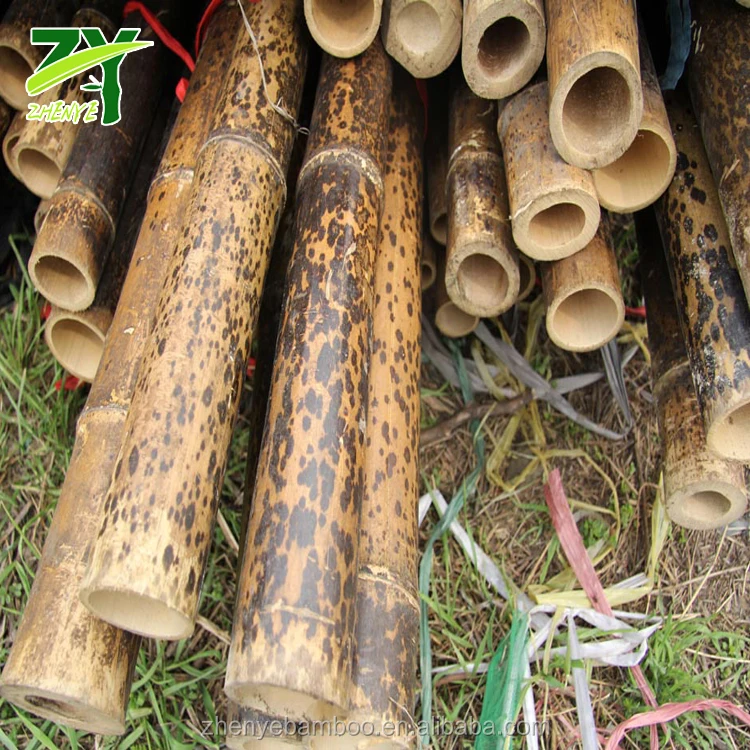 Цены по прейскуранту завода-изготовителя! ZY-1007 Редкие тигровые бамбуковые трости, зернистые бамбуковые трости большого диаметра, пятнистые бамбуковые трости большого диаметра