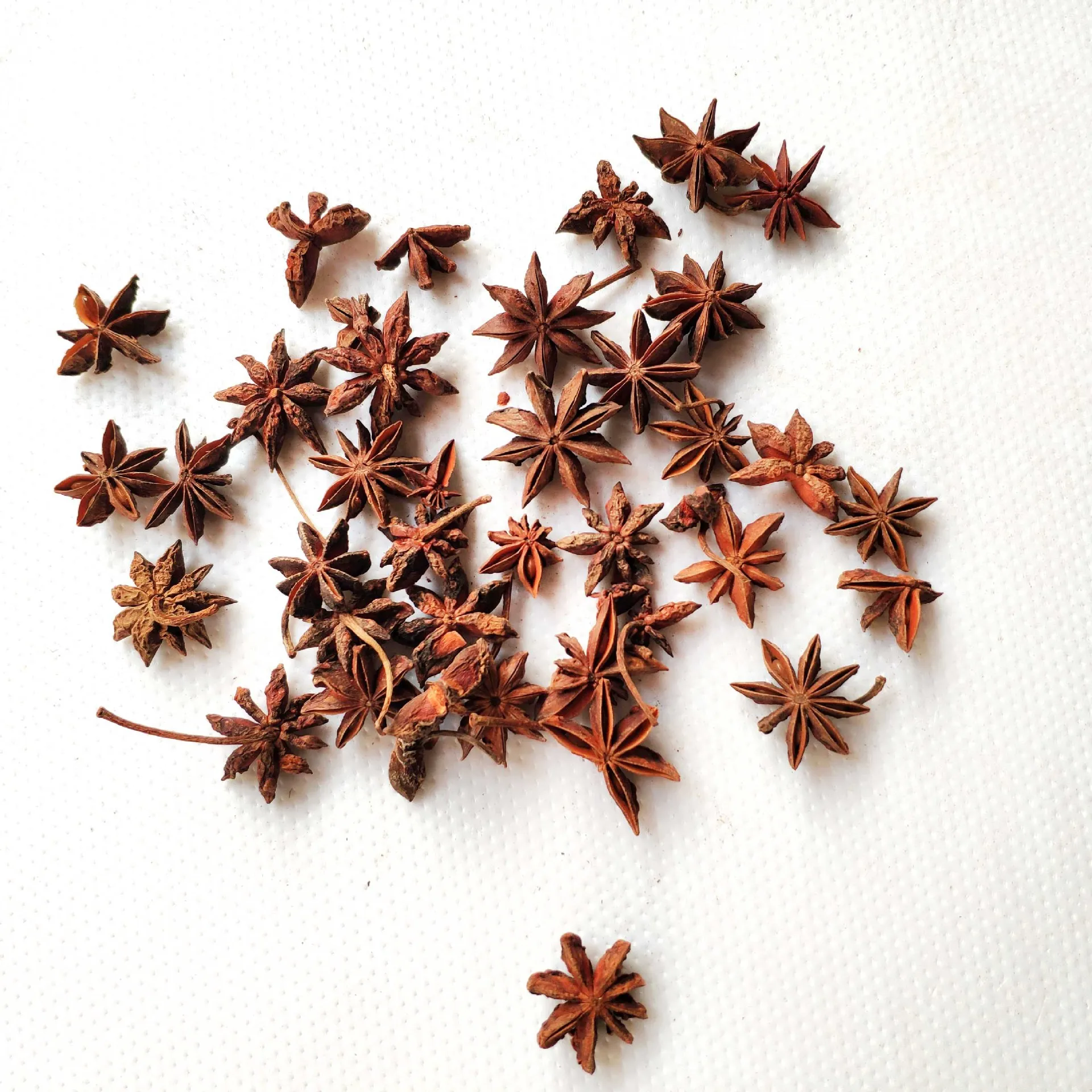 Factory Whole Price Spices Herbs Seasoning Dry Star Anise Seeds