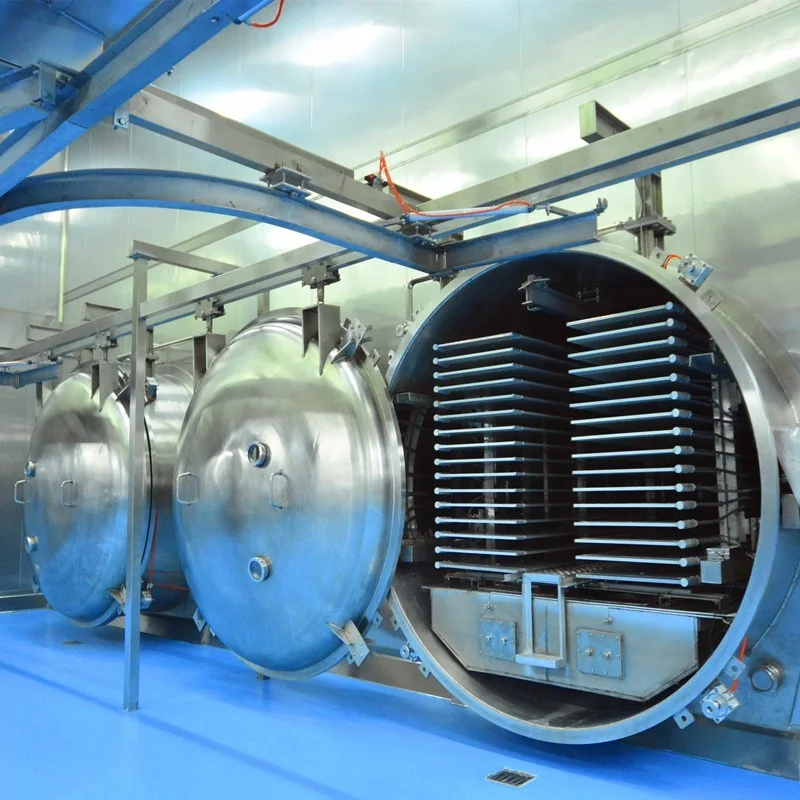 Hot sale CE certificate peach papaya blueberry freeze drying machine for fruits,food equipment