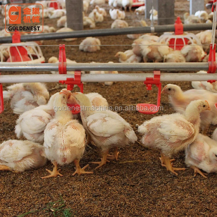 Goldenest птицеводства соска питьевой системы/ниппель dringking линии