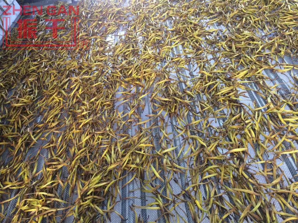 Belt Mesh Dryer for Day Lily/Day Lily/Vegetable Production Line Drying Machines