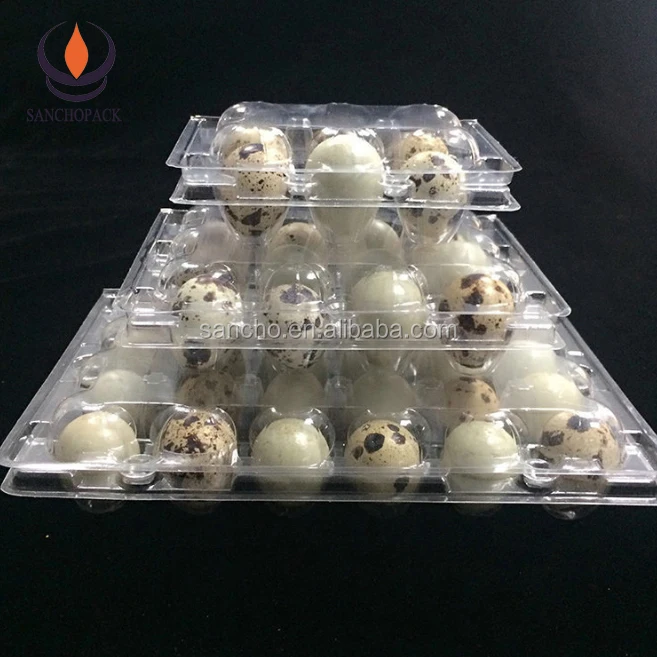 
Plastic quail egg packaging tray malaysia 