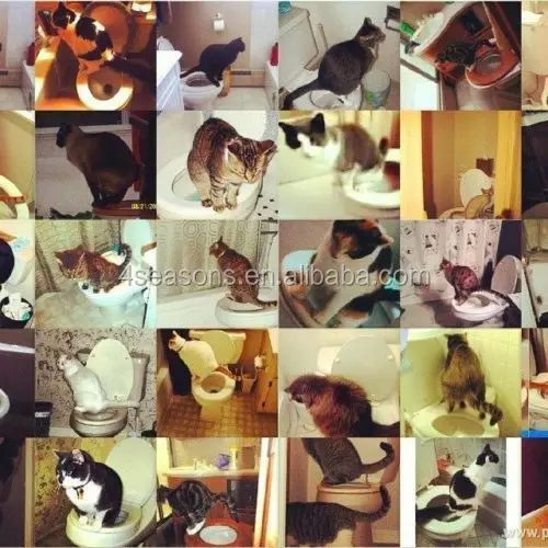 Товары для домашних животных, горшок для домашних животных, собака, кошек, туалет, тренировочная система С Кошачьей Мятой в комплекте в Иу