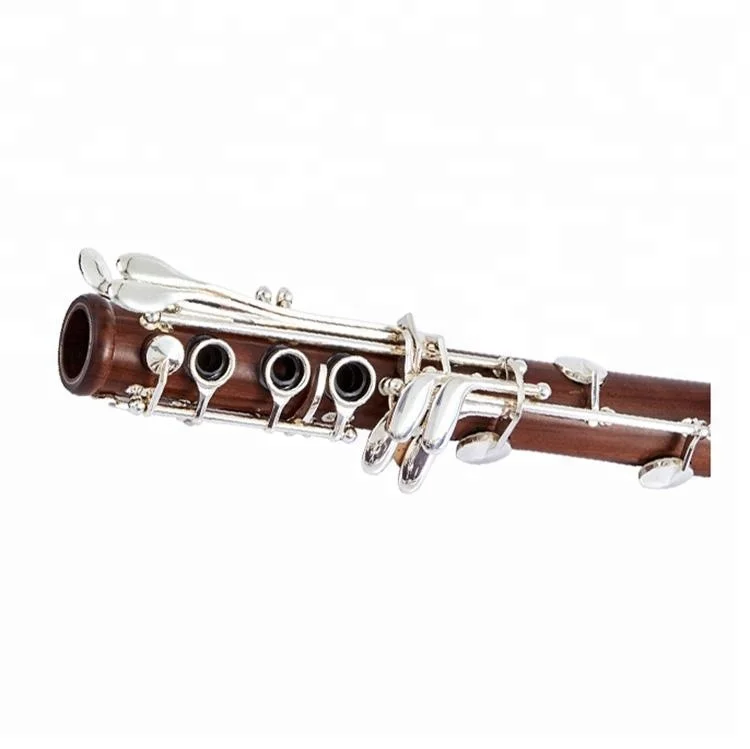 
Accept OEM Dasheng Music DSCL-509S 17 Keys Bb Rosewood Clarinet 