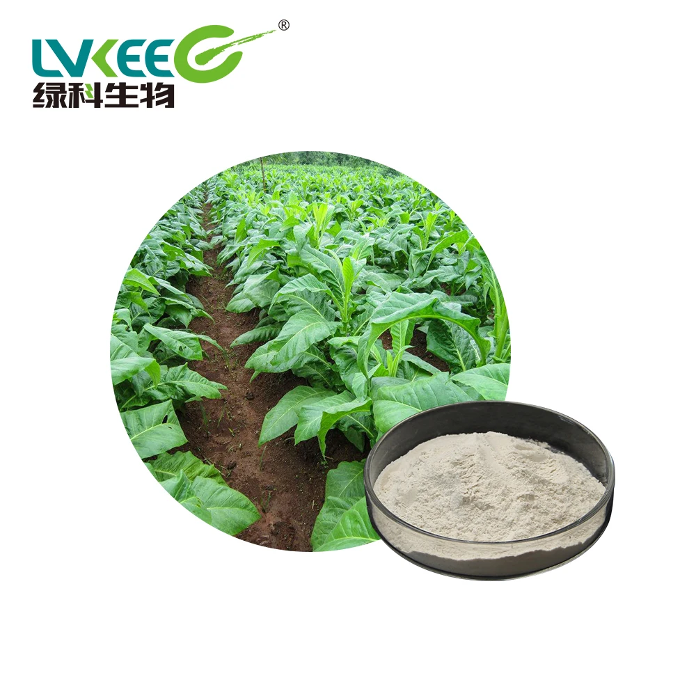 
Bio Organic Probiotics Bacillus Subtilis For Agriculture cultivation 