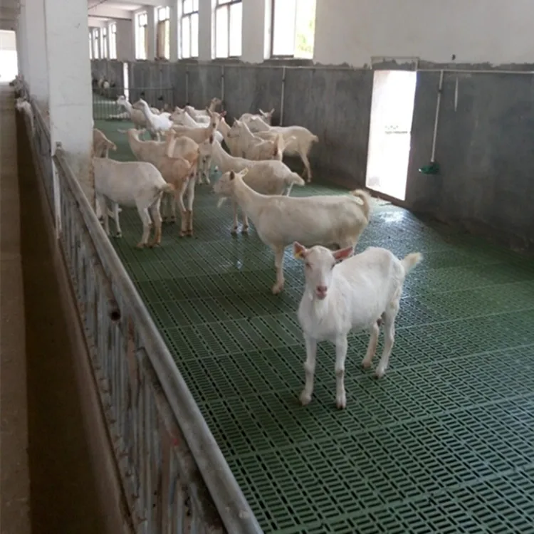 2021 hot sale good quality sheep goat slat floor goat farm equipment