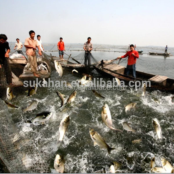 aquaculture feed probiotics for fish shrimp growth