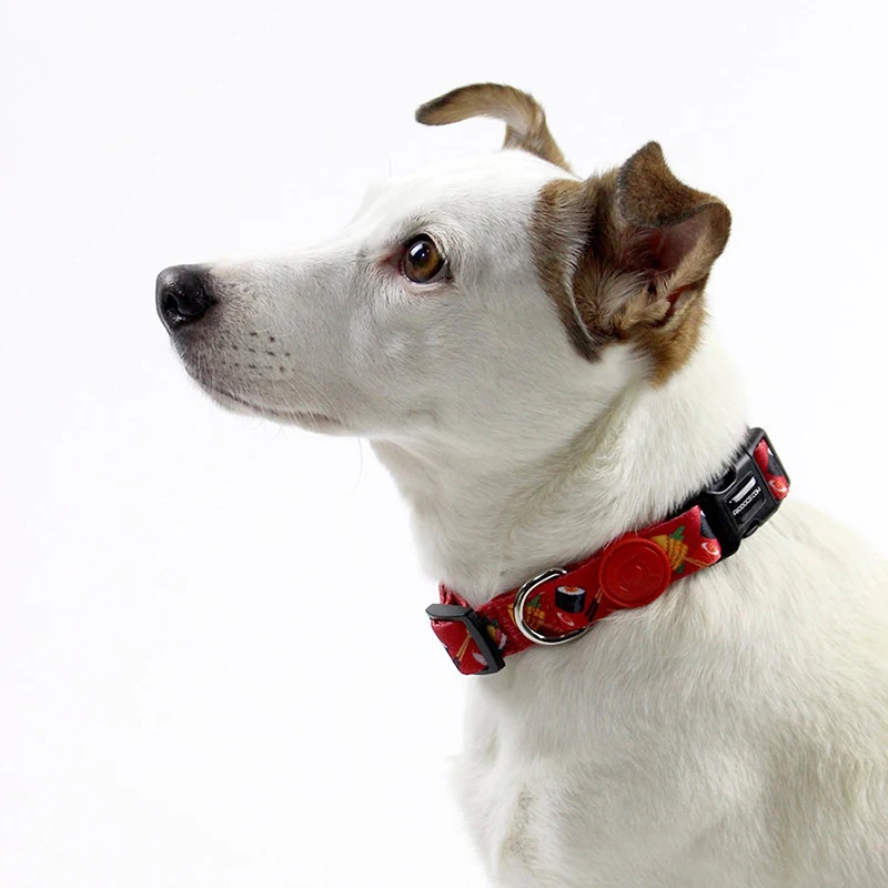 Высокое качество животное ошейник