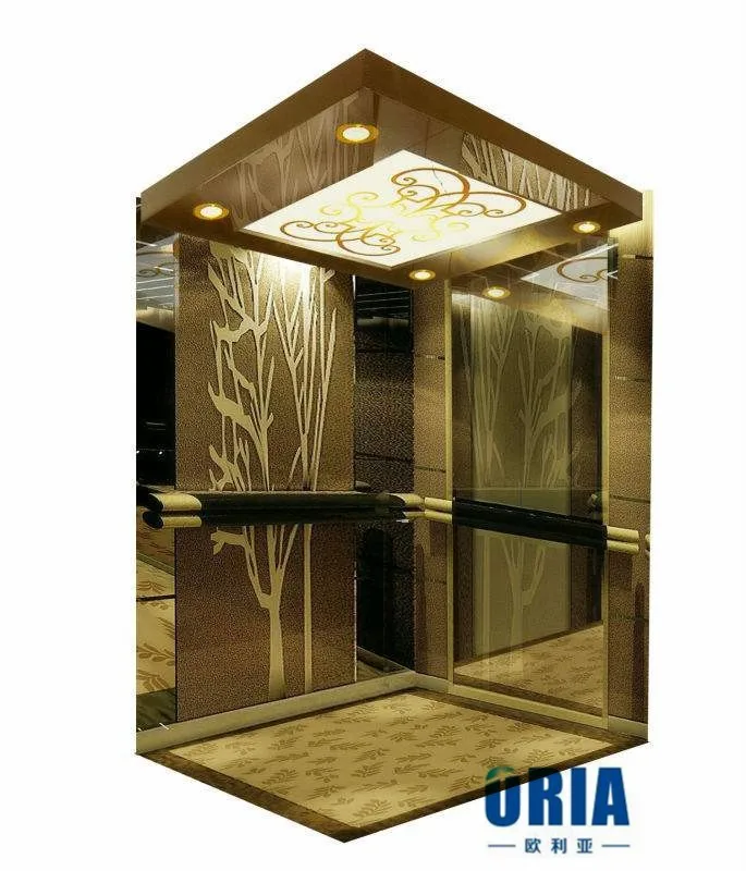 ORIA Cheap hydraulic passenger elevator with machine room gearless or gear motor P--13