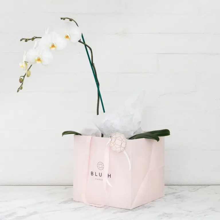 custom logo printed diecut handle paper carrier flower bag, flower packaging carrier