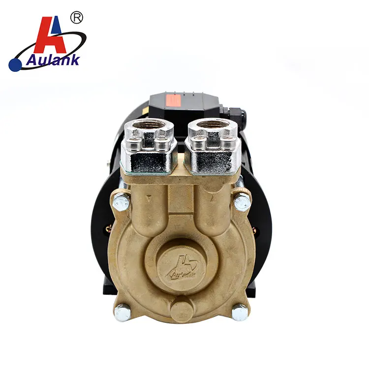 Aulank  WD  Series Water Pumps High Efficiency Hot Oil Booster Vortex Pump