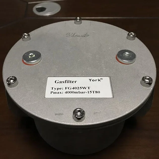 1 inch lpg gas fuel filter for gas system or combustion system