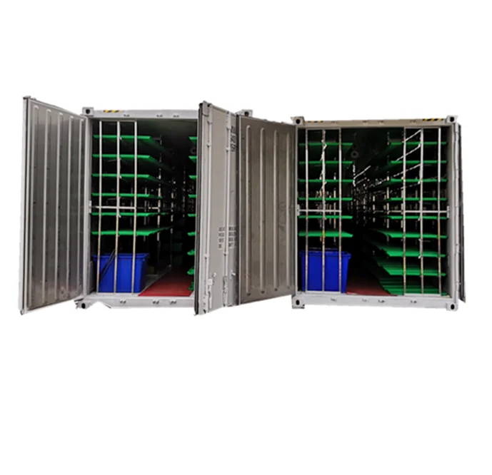 Container Type Hydroponic Green Fodder Sprouting Machine System For Australia Farm: