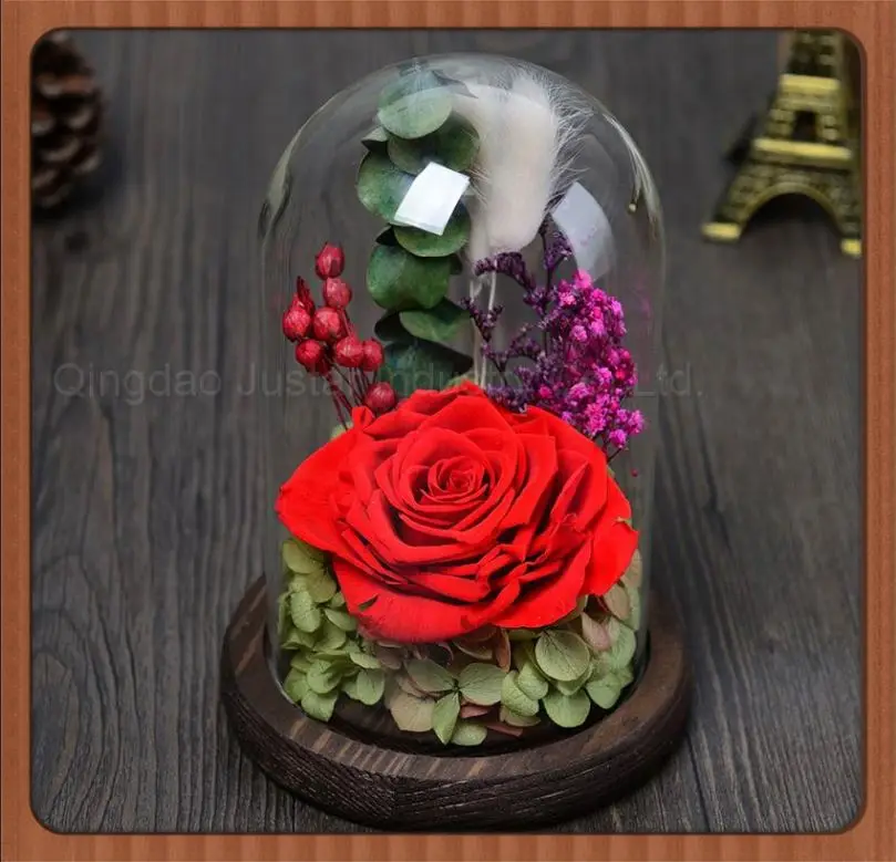 
Bell Jar Small Glass Dome with Wood base \ Taxidermy Glass Butterfly Dome \ Display Tall decorative clear glass bell jar dome 