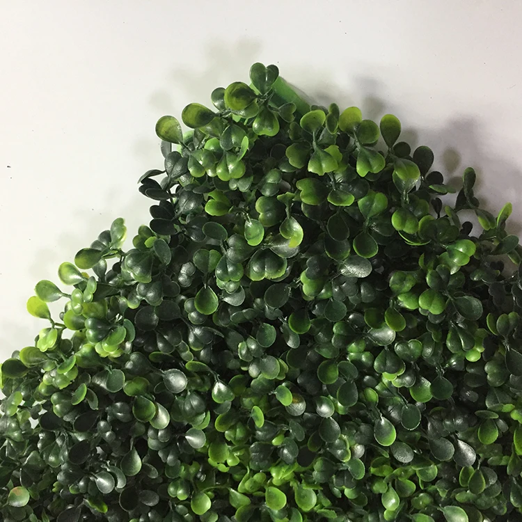 High quality UV resistance 50*50cm green artificial plant wall boxwood hedge for green outdoor wall