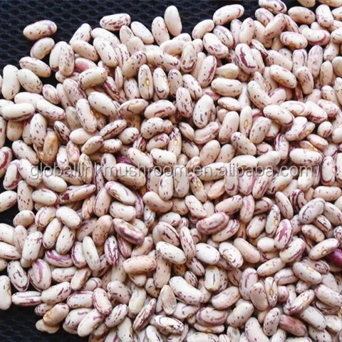 Round Light Speckled Kidney Beans LSKB for India | Pakistan | Yemen
