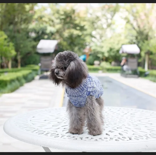 
New Christmas Small Large Knit Pet Cat Dog Costumes Jumper Sweater Clothes for Dogs Chihuahua Dachshunds xxs-xxl 