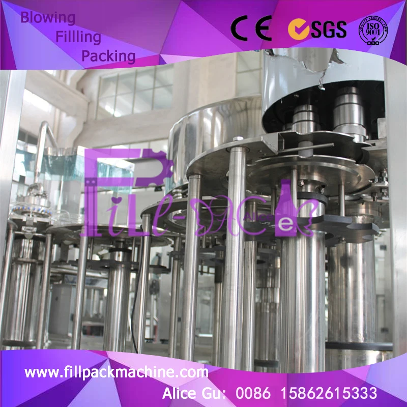 CGF серии sus 304 чистой воды розлива/блок/устройства с ленточный конвейер