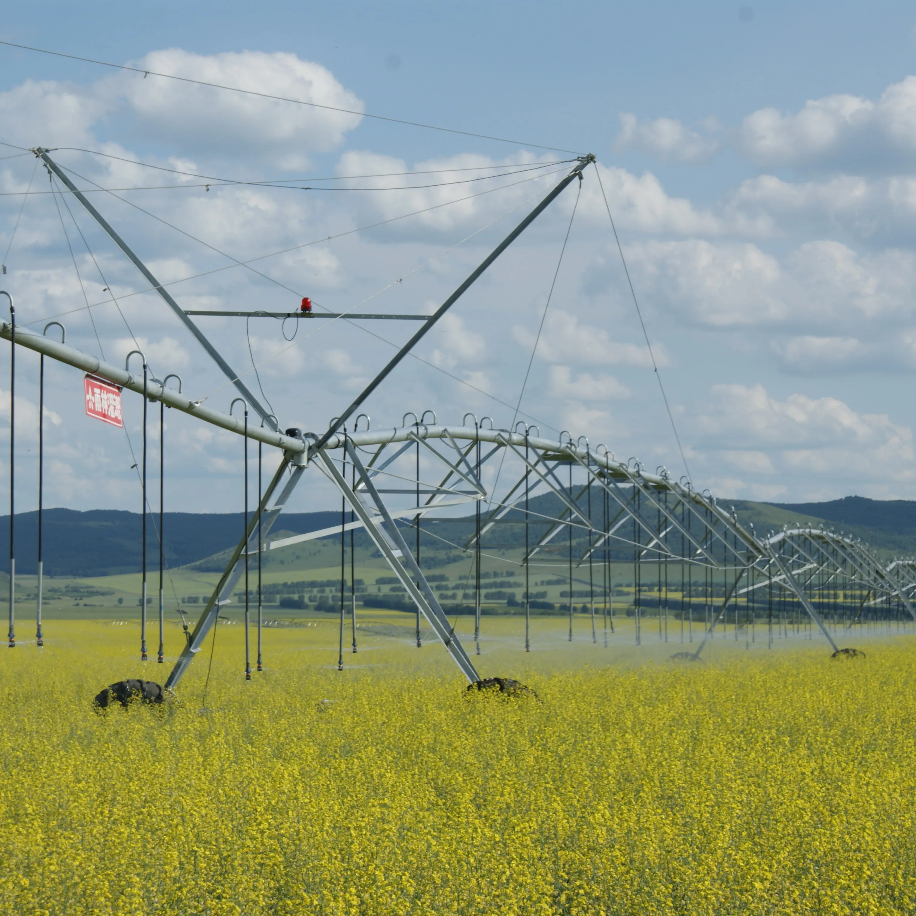 Center Pivot Irrigation System with Big Gun Sprinkler / Agricultural Machinery Farm Irrigation System
