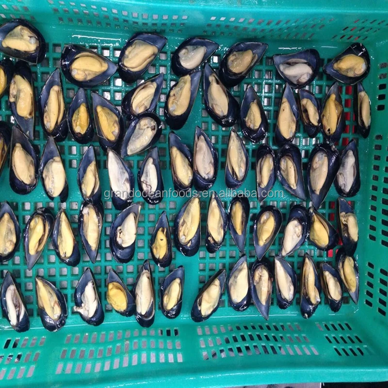 
Frozen mussel meat with half shell 