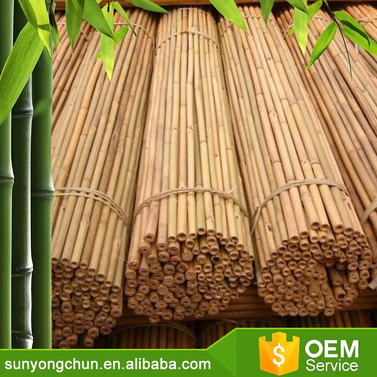 bamboo fence for gardening screening factory directly sale