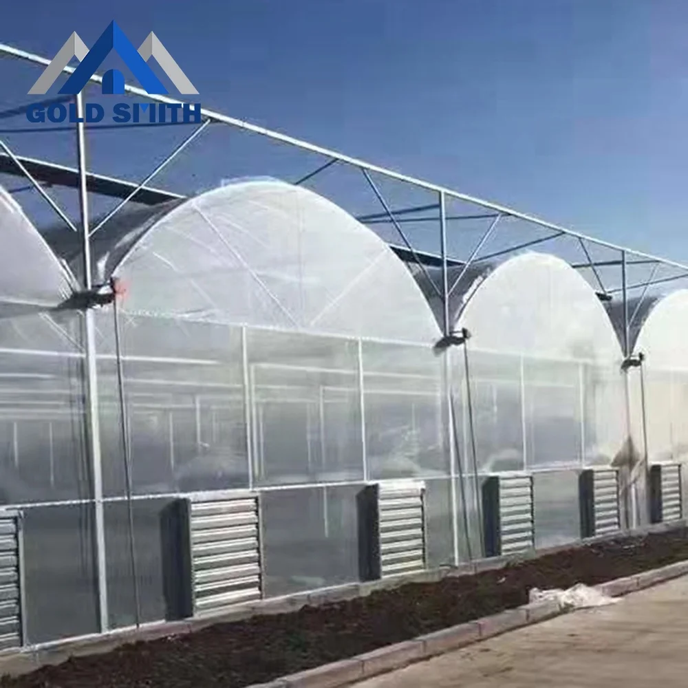 Multi Span Agricultural Film Greenhouse Using Hot Galvanized Steel Structure Frame