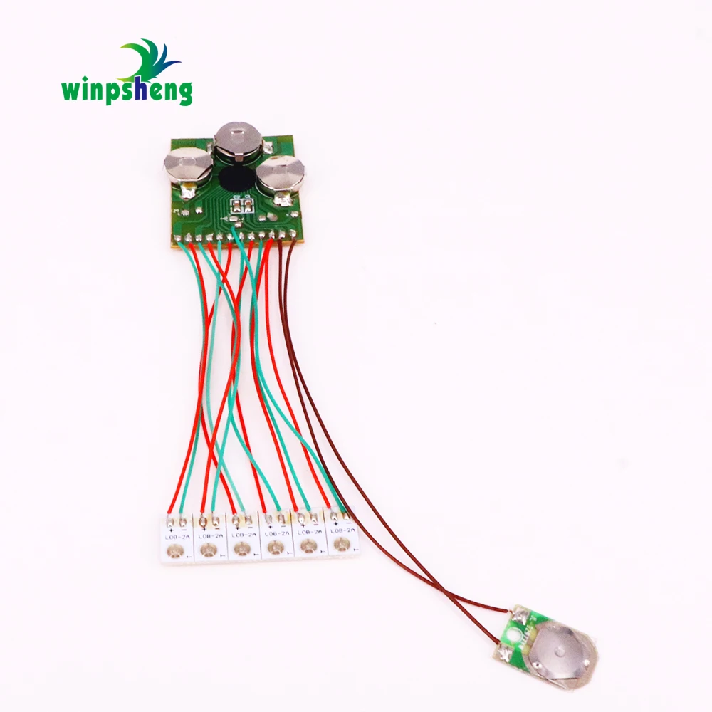 
Custom Programmable Greeting Card LED Music Sound Module 