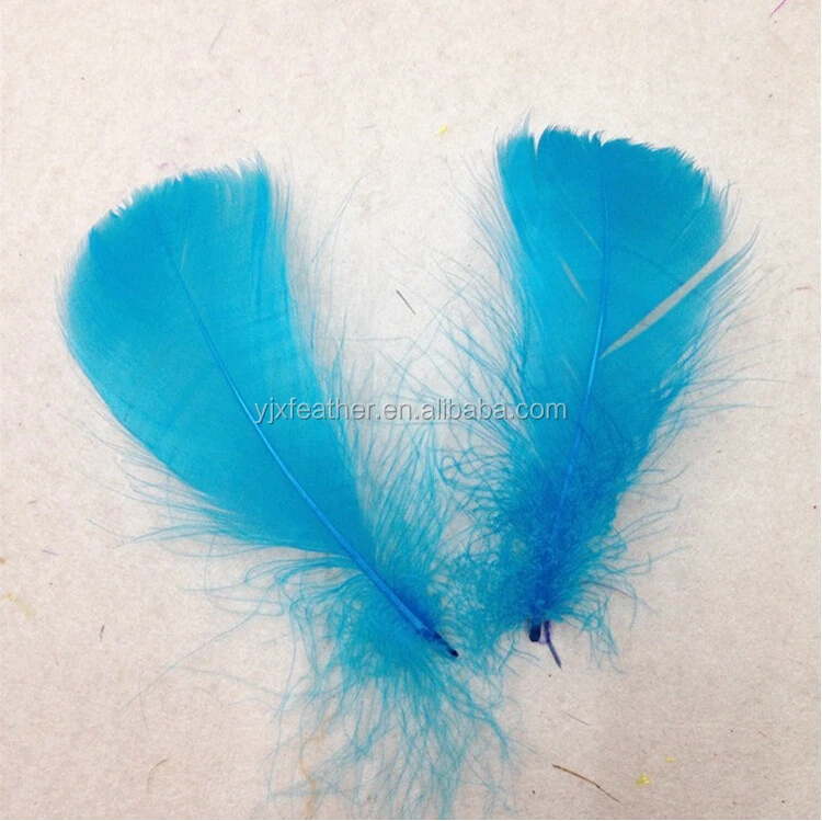 duck eiderdown duck feather natural goose feather free shipping for sale