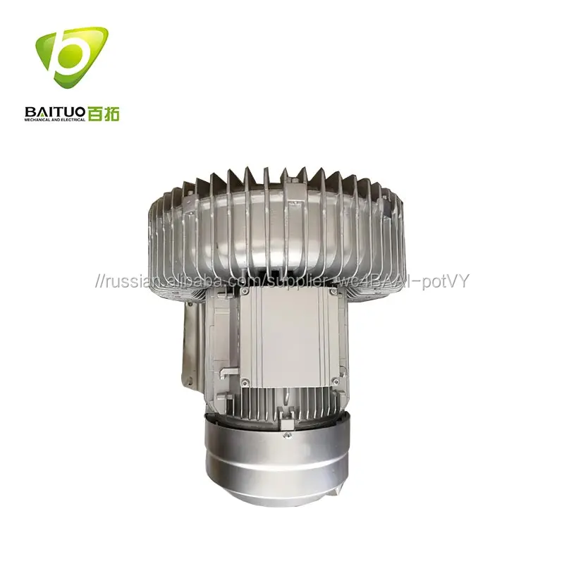 220V Mini Electric Swimming Pool Blower