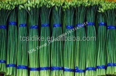 Vegetable Use tape bopp packing tape for vegetables bunding in supermarkets or food market