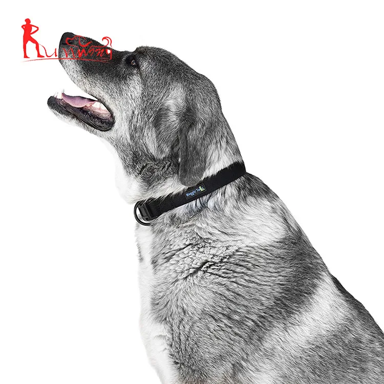 Pet accessories dog collars neoprene padded nylon collar for dogs training