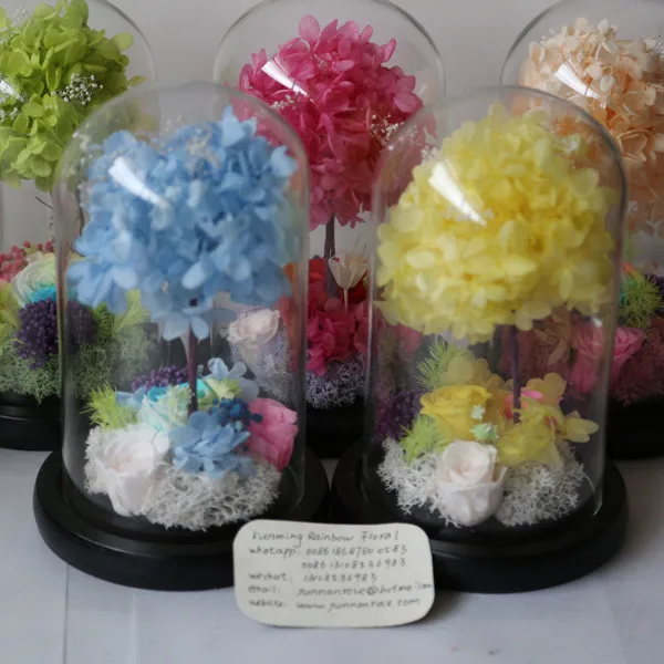 Kept More Than 3 Years Rose Preservation in Water Globe for Gifts