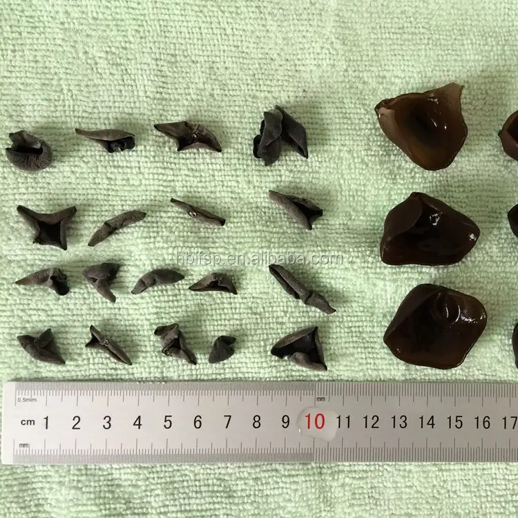 
Factory Price Dried Black Fungus 