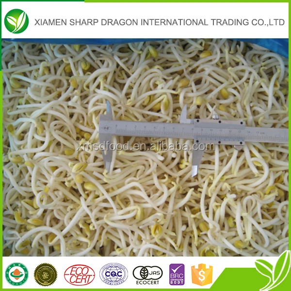 
Китай дешевые класс IQF мороженой фасоли 