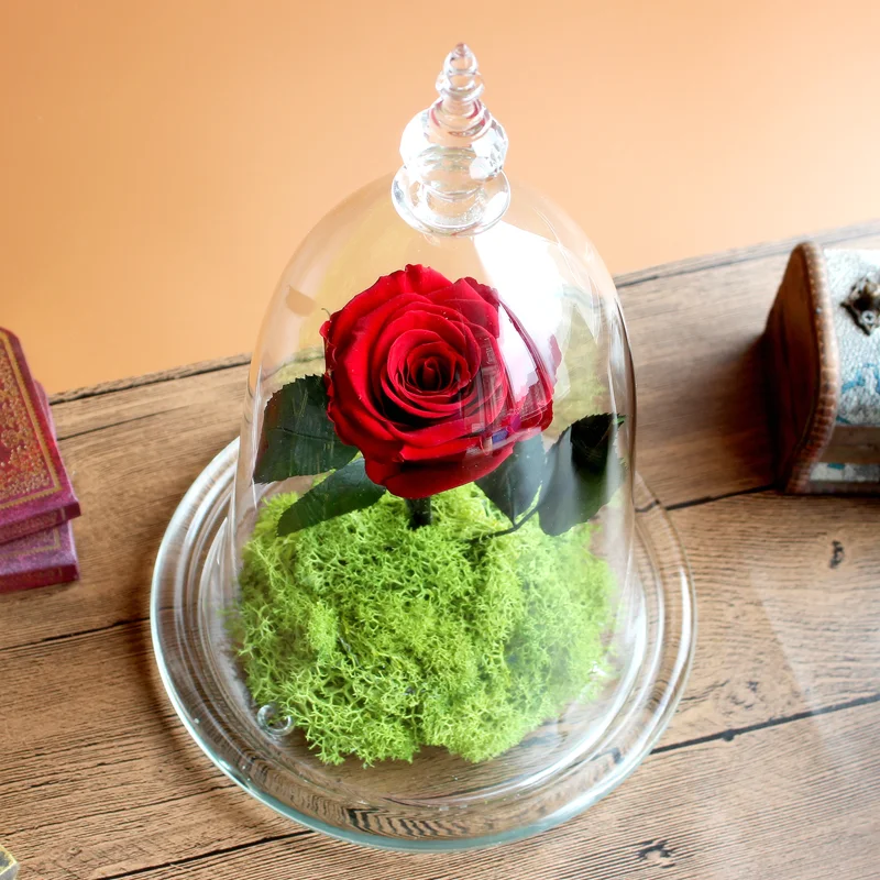 
Decorative wholesale glass dome with base in China 